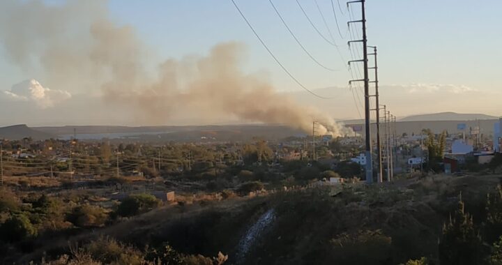 Población provoca el 90 por ciento de los incendios de pastizal