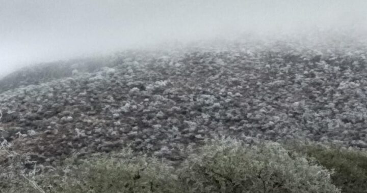 Llama Protección Civil a extremar precauciones ante bajas temperaturas en Guanajuato