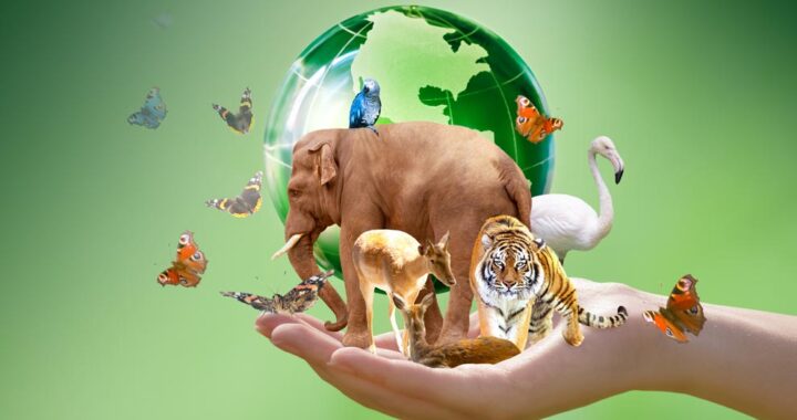 Más de 8,400 especies de flora y fauna, en peligro crítico de extinción en la Tierra*