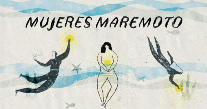 Nuevas cartas de navegación en los estudios de género y feministas*