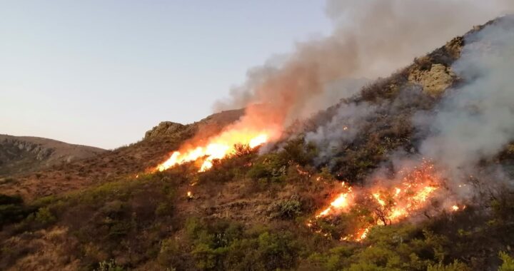 Se agudizan incendios de pastizales en la capital