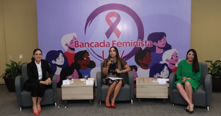 Se presenta oficialmente la bancada feminista; detallan agenda de trabajo