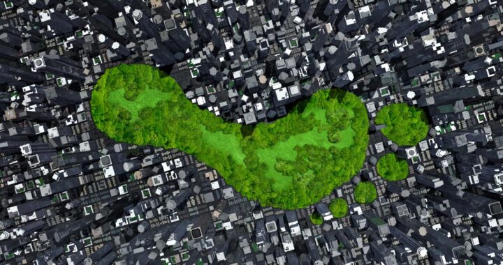 La pérdida de biodiversidad se puede detener*