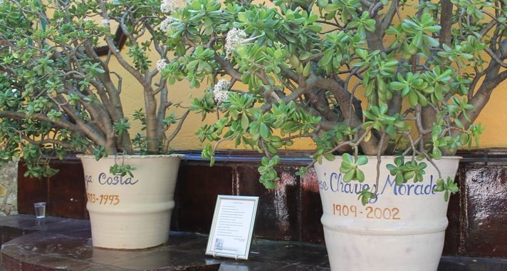 Congruente y generoso