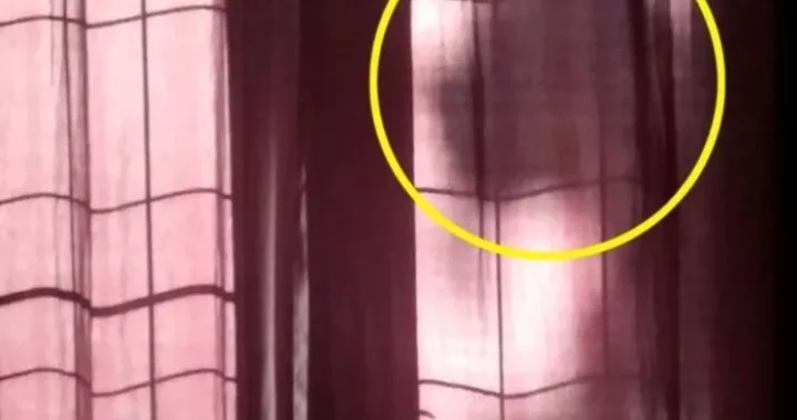 CUIDADOS DESDE EL MÁS ALLÁ