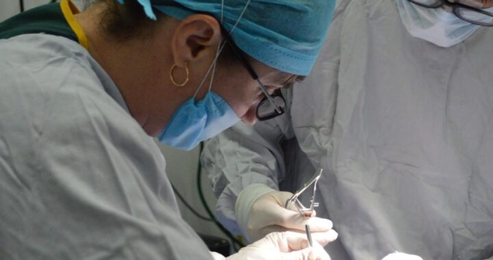 Guanajuato rompe récord de donación de órganos en este 2025