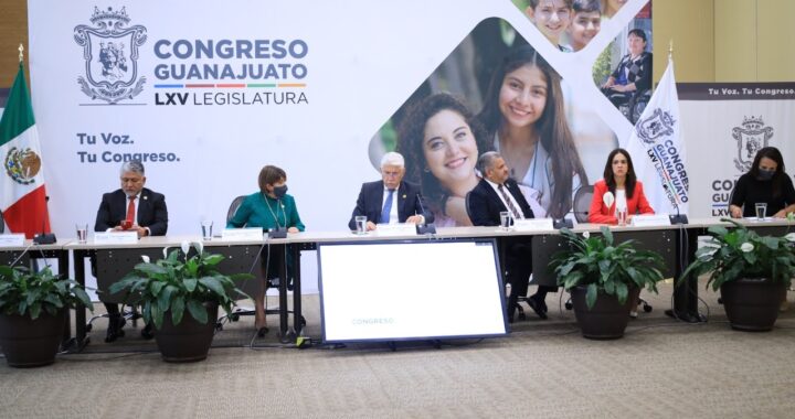 Define Congreso metodología de análisis para el informe de gobierno