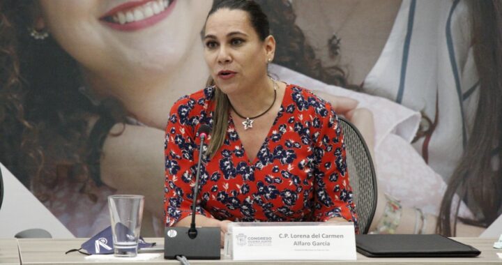 NO LLEGARÁN EX FEDERALES A IRAPUATO, EXPONE LORENA ALFARO