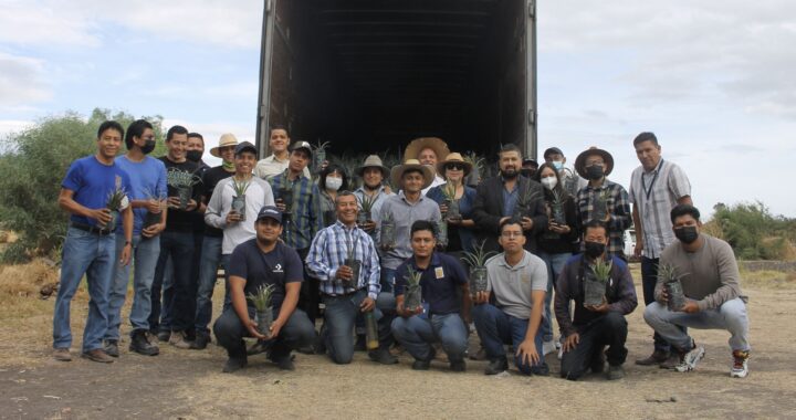 UG en Irapuato recibe donación de 9 mil árboles de la Fundación Grupo México A.C.
