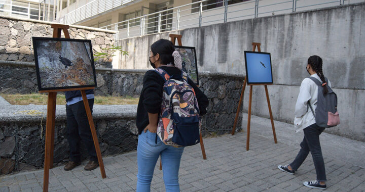 Estudiantes UG aprenden del monitoreo del Águila Real y los retos de su conservación