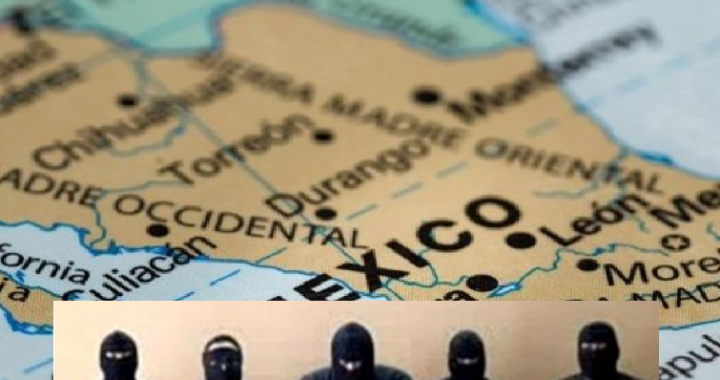 “Estado paralelo” del crimen a ¿Estado fallido?