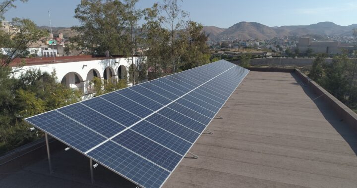 Colocación de paneles solares en negocios ayuda a ahorrar un 95% en energía eléctrica