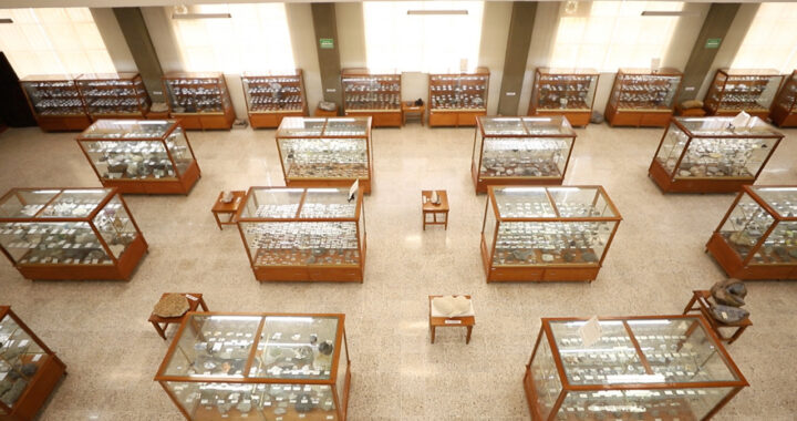 Resguarda el Museo de Mineralogía UG 194 años de historia
