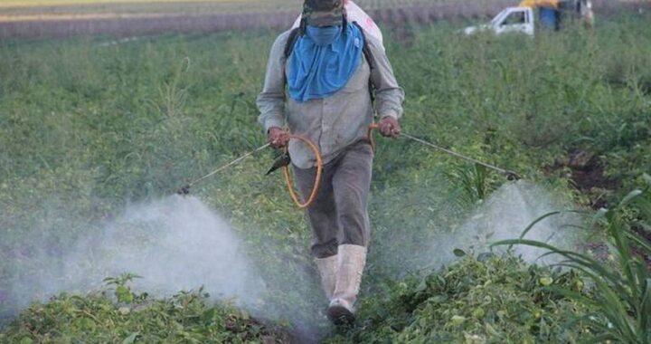 No hay temor por desapariciones en el sector ganadero y agrícola