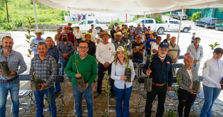 Productores capitalinos reciben más de 5 mil árboles frutales