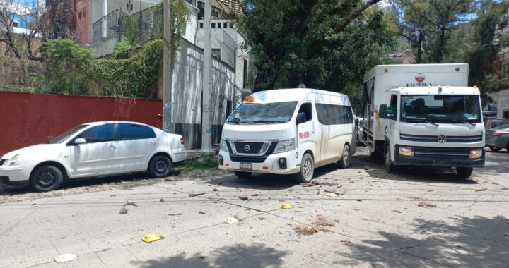 Caen ramas sobre camioneta