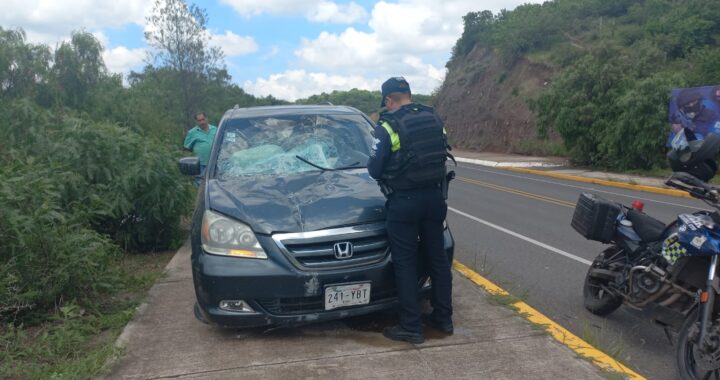 Choca camioneta contra señalética