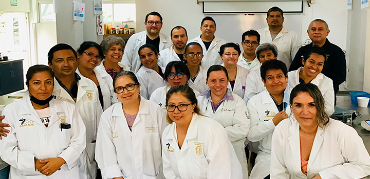 Capacita UG a profesorado del NMS en química