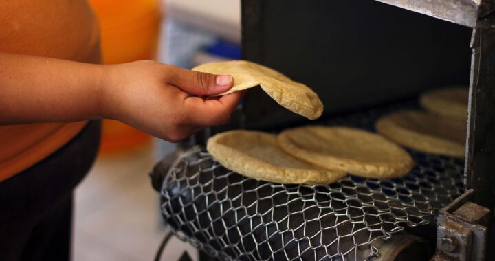 Guanajuato sigue trabajando para evitar el alza en el precio de la tortilla