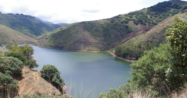 Aunque hay buena captación de agua, no se puede bajar la guarida en el cuidado del líquido