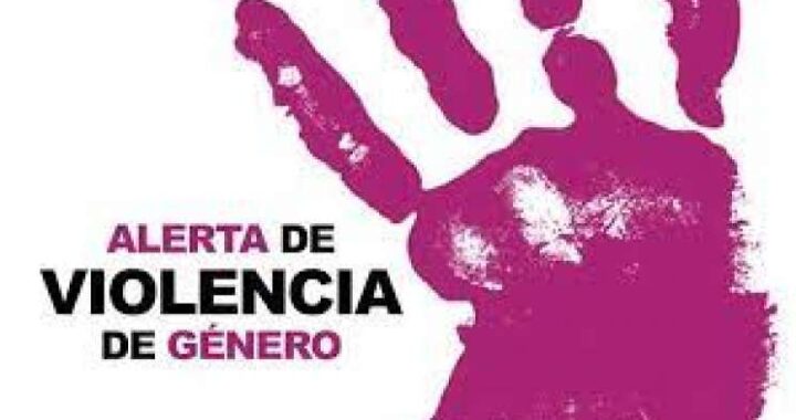 Para decretar alerta de género en Guanajuato pasarán más de 6 meses