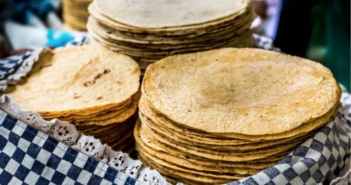 Precio de la tortilla no tendría por qué subir más en Guanajuato: SDAyR