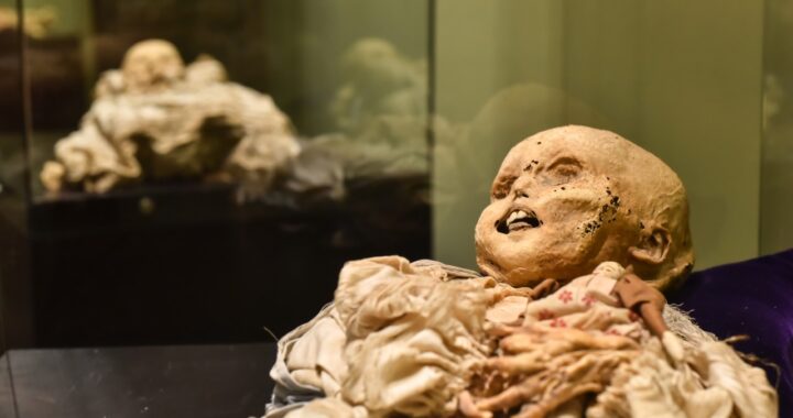 Exhiben ‘Angelitos’ en el Museo subterráneo Dieguino
