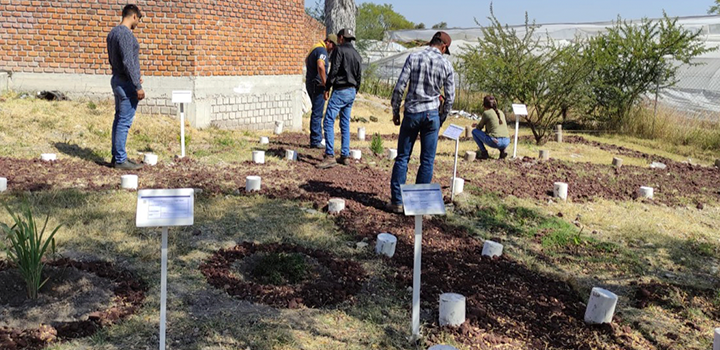 Agronomía UG se actualiza en el primer ciclo internacional de conferencias de botánica en la DICIVA