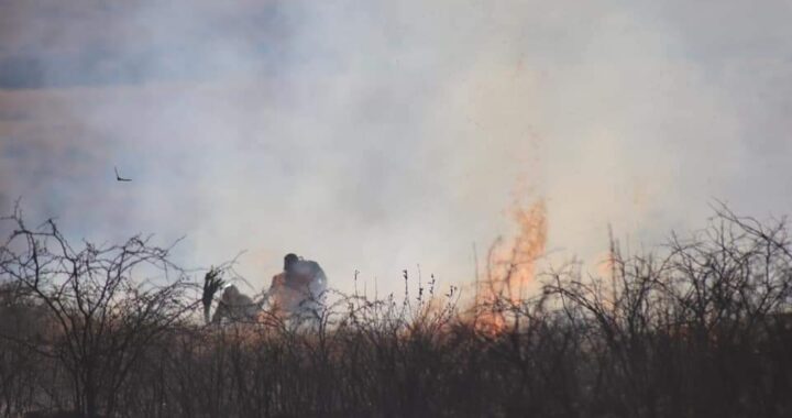 Intensifica Protección Civil labores para prevenir incendios de pastizal en temporada invernal