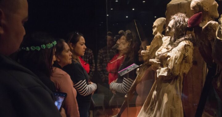 Invertirán 800 mil para adecuar la museografía de las momias