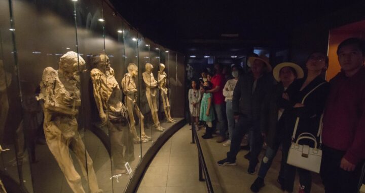 Pretende la capital vender boletos en línea para el Museo de las Momias