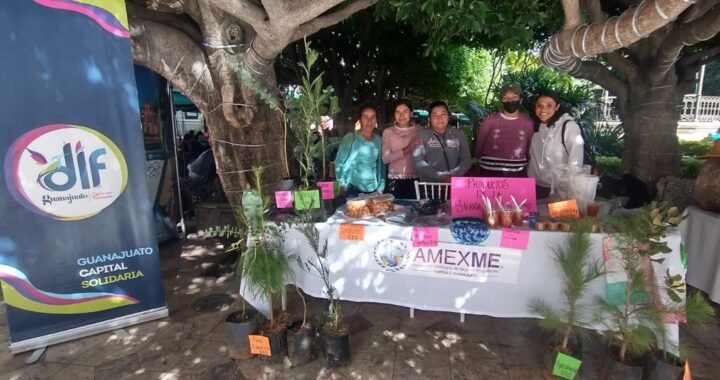 Arroja primeros resultados la alianza DIF Municipal-AMEXME en Guanajuato Capital
