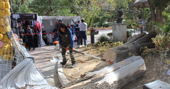 Evalúan arbolado en el jardín El Cantador para neutralizar riesgos