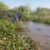 Hay que revisar las descargas de materia orgánica en la laguna de Yuriria