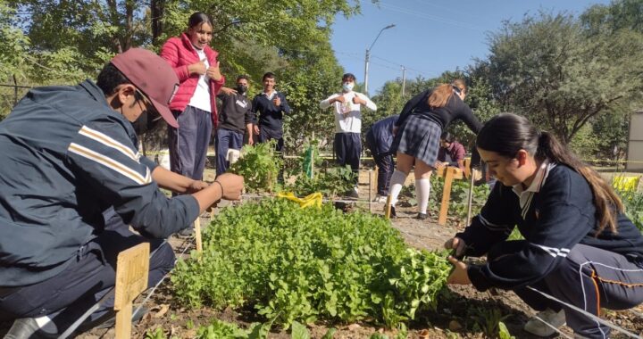 Afecta federación al campo y la alimentación mexicana