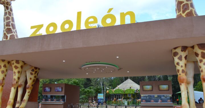 Es una pena que haya cerrado el zoológico de León