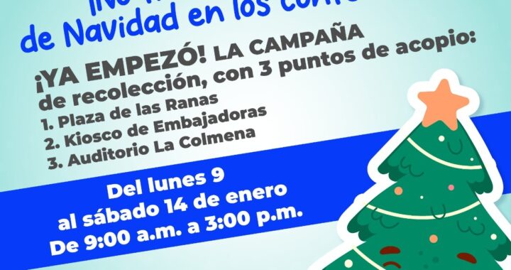 Recolectan arbolitos de navidad para evitar saturación de basura 