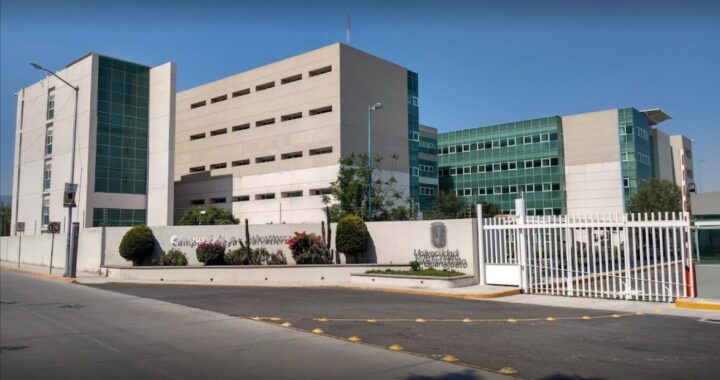 UG obtiene patente por el proceso de obtención de fibra y cutícula de nopal 