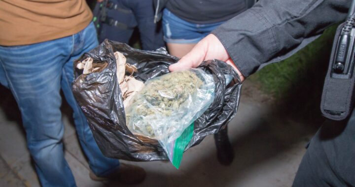 Decomisan más de 2 mil dosis de presunta droga y más de 30 armas de fuego en 2022