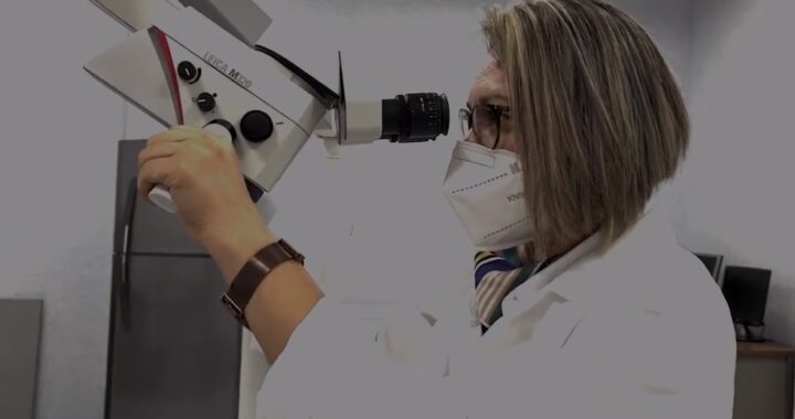 UG investiga y busca soluciones para atender enfermedades neurodegenerativas