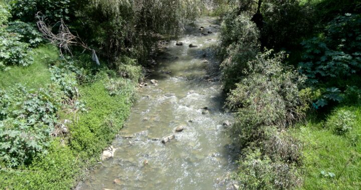 CEAG invertirá para sanear el río Guanajuato