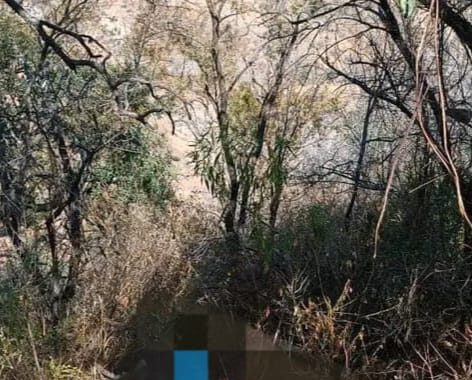 Encuentran a jóvenes sin vida