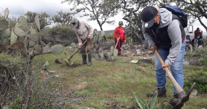 Guanajuato se adapta al cambio climático, por una resiliencia ambiental para el bienestar social y económico