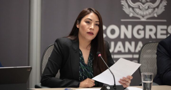 PAN sería incongruente al no prohibir la pirotecnia