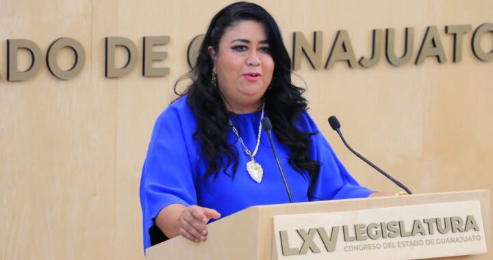 Caída de reforma electoral no afectará la representación de personas con discapacidad