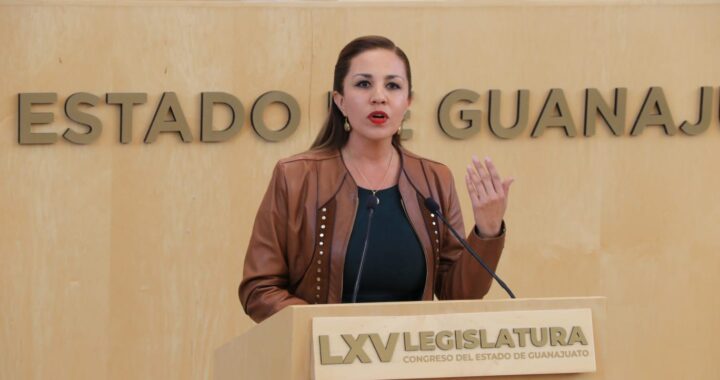 Critica diputada mal gobierno en Silao