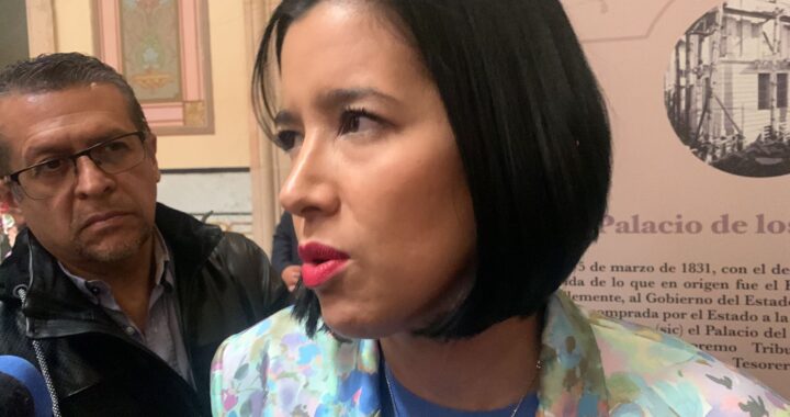 Señala Sophia Huett que muerte de celayenses no está ligada a la trata de personas