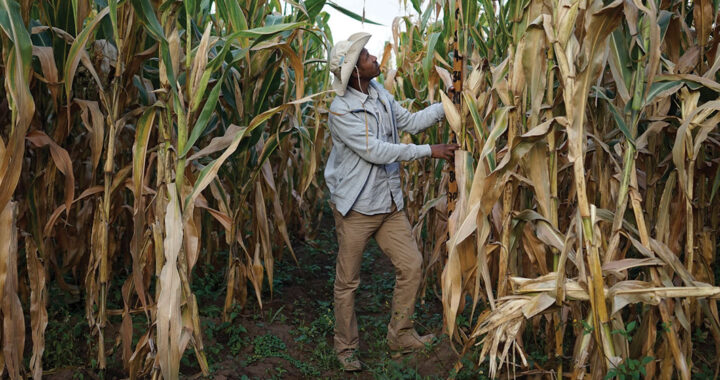 Pide PAN comenzar a fortalecer el campo mexicano