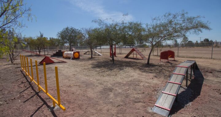 Construyen parque para mascotas en la Ciudad Deportiva de la zona sur