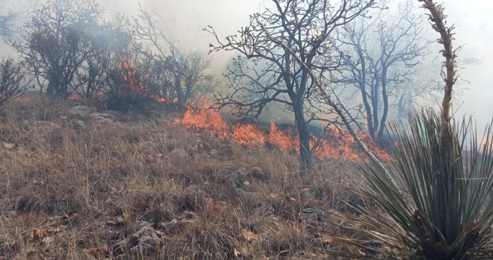 Controlan incendio forestal entre Campuzano y La Sauceda